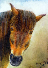 Doris Joa. Horse.