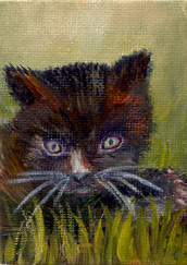 Doris Joa. Black Cat in Grass.