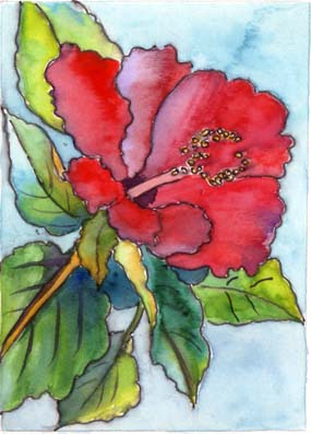 Doris Joa. Red hibiscus.