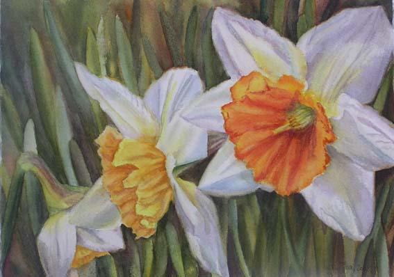 Doris Joa. Daffodils.