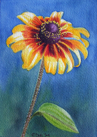 Doris Joa. Sunflower.