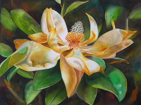 Doris Joa. Golden Magnolia.