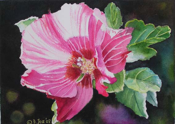 Doris Joa. Pink Hibiscus I.