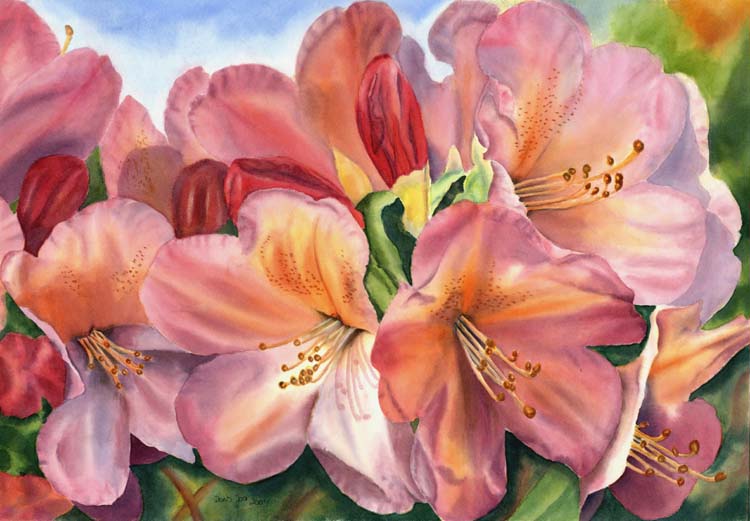 Doris Joa. Rhododendron Rhapsody.