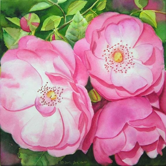 Doris Joa. 3 Pink Roses.