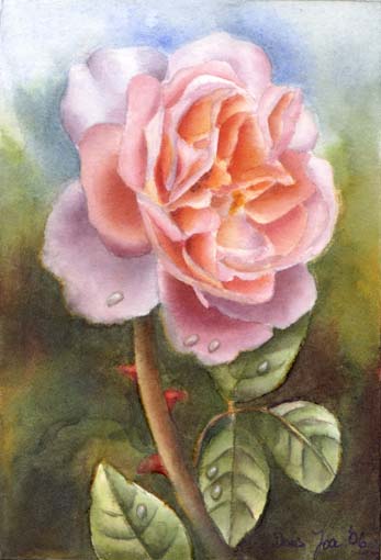 Doris Joa. Renaissance Rose.