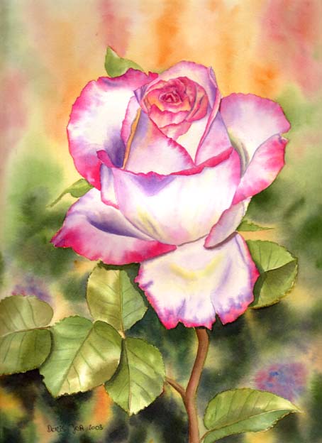 Doris Joa. A wonderful rose.