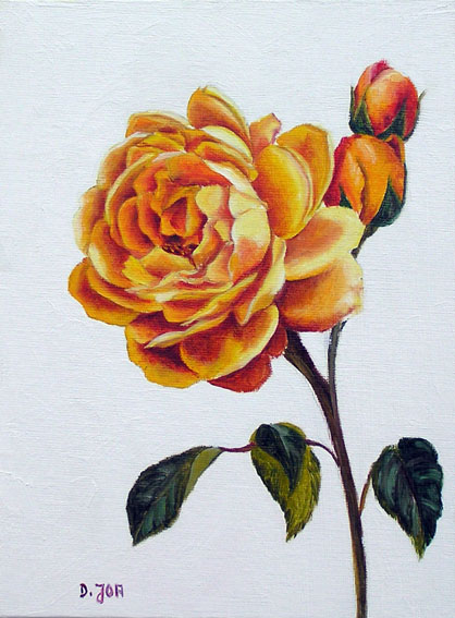 Doris Joa. Yellow rose.