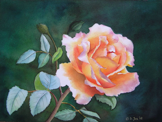 Doris Joa. Orange Rose.