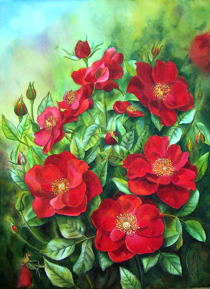 Doris Joa. Red Rose.