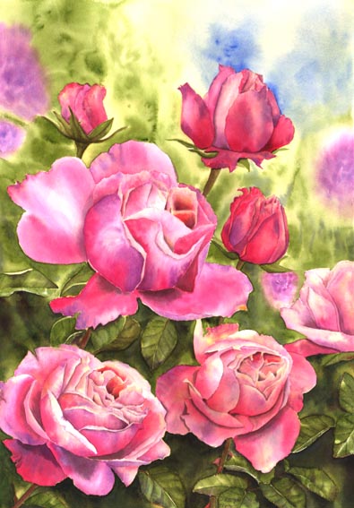 Doris Joa. Rose 'Mein schöner Garten'.