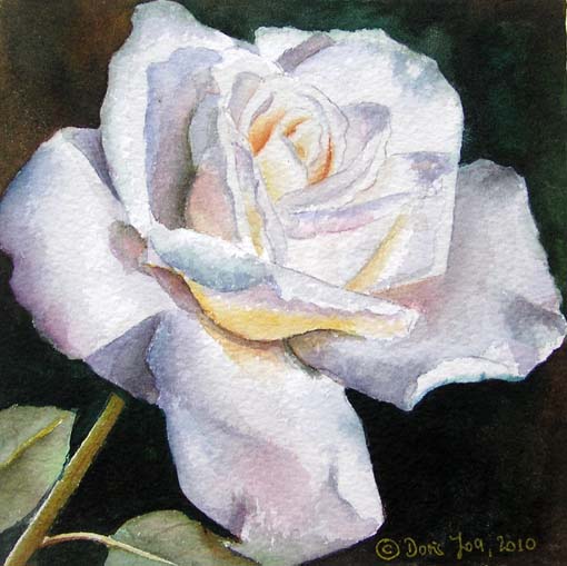 Doris Joa. White Rose.