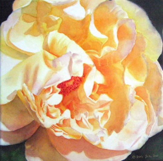 Doris Joa. Yellow Rose.